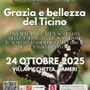 “Grazia e bellezza del Ticino”: convegno dedicato alle farfalle