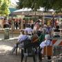 Weekend nel Novarese al via con spettacoli sotto le stelle, musica e mostre d’arte