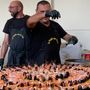 A Briga Novarese torna la “Paella para todos” con sangria, tapas e musica dal vivo