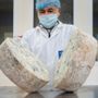 Gorgonzola Dop, produzione stabile nel 2026: cresce l’export verso Francia e Giappone Gorgonzola Dop, produzione stabile nel 2026: cresce l’export verso Francia e Giappone