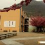A Villadossola la giornata conclusiva del progetto Passi, tra sostenibilità e inclusione A Villadossola la giornata conclusiva del progetto Passi, tra sostenibilità e inclusione