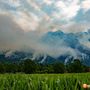 Incendi, l'appello dei forestali: "Serve una gestione attiva dei boschi"