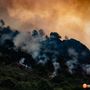 Incendi, il M5S chiede lo stop alla caccia nelle aree boschive devastate dal fuoco Incendi, il M5S chiede lo stop alla caccia nelle aree boschive devastate dal fuoco