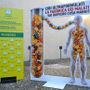 Cibi ultraformulati, Coldiretti Piemonte chiede all'Europa maggiori tutele per la salute Cibi ultraformulati, Coldiretti Piemonte chiede all'Europa maggiori tutele per la salute