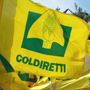 Carne e prodotti animali dal Brasile, dal 3 settembre scatta lo stop europeo Carne e prodotti animali dal Brasile, dal 3 settembre scatta lo stop europeo