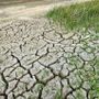 Coldiretti Piemonte: “Servono misure straordinarie per garantire acqua all’agricoltura, cresce il rischio siccità” Coldiretti Piemonte: “Servono misure straordinarie per garantire acqua all’agricoltura, cresce il rischio siccità”