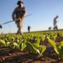 "Gli agricoltori non sono inutili, garantiscono cibo e presidiano il territorio" "Gli agricoltori non sono inutili, garantiscono cibo e presidiano il territorio"