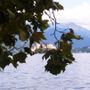 Orta San Giulio, Poetry on the Lake oggi porta i poeti tra i boschi e le cappelle del Sacro Monte Orta San Giulio, Poetry on the Lake oggi porta i poeti tra i boschi e le cappelle del Sacro Monte