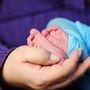 Sanità in Piemonte, maxi alleanza da 3,6 milioni tra Regione e Fondazioni bancarie: via a due super progetti Sanità in Piemonte, maxi alleanza da 3,6 milioni tra Regione e Fondazioni bancarie: via a due super progetti