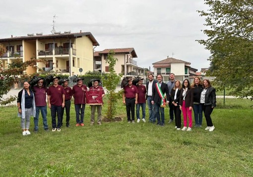 Un albero per unire memoria e futuro: a Bellinzago piantumato un Liquidambar alla scuola dell'infanzia “Deledda” Un albero per unire memoria e futuro: a Bellinzago piantumato un Liquidambar alla scuola dell'infanzia “Deledda”