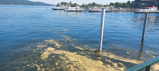 Lago Maggiore, le strie gialle davanti ad Arona non sono alghe tossiche