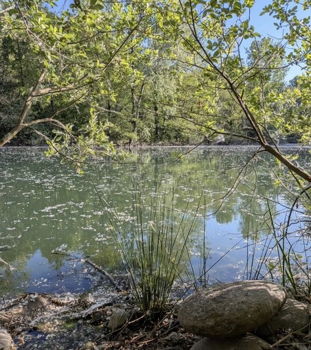 ​"Puliamo il parco!": a Galliate una giornata ecologica di plogging e cura del territorio
