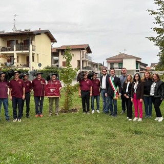 Un albero per unire memoria e futuro: a Bellinzago piantumato un Liquidambar alla scuola dell'infanzia “Deledda”