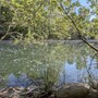 "Puliamo il parco!": a Galliate una giornata ecologica di plogging e cura del territorio "Puliamo il parco!": a Galliate una giornata ecologica di plogging e cura del territorio