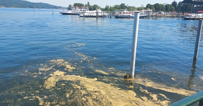 Lago Maggiore, le strie gialle davanti ad Arona non sono alghe tossiche Lago Maggiore, le strie gialle davanti ad Arona non sono alghe tossiche
