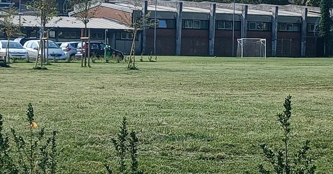 Oltre 360 mila euro per la scuola Giovanni XXIII: riqualificazione energetica con il Conto Termico 3.0 Oltre 360 mila euro per la scuola Giovanni XXIII: riqualificazione energetica con il Conto Termico 3.0