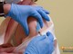 Quasi 20 mila i vaccinati contro il covid in Piemonte Quasi 20 mila i vaccinati contro il covid in Piemonte