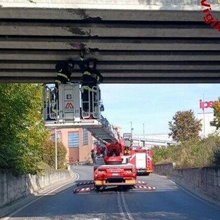 Iniziati i lavori di sistemazione del ponte di via Porzio Giovanola a Novara
