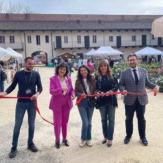 Fiorissimo al Castello di Novara: successo e affluenza record per la mostra mercato del florovivaismo