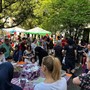 La Provincia di Novara protagonista a Boom, il Festival dei Bambini: natura, sicurezza e mestieri per i più piccoli