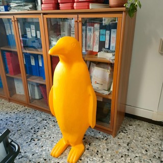Furto del pinguino e tentata rapina ad Arona risolti grazie alle telecamere