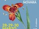 Fiorissimo 2025: il viaggio floreale al Castello di Novara