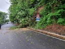 Traffico interrotto sulla SP 87 a Orta San Giulio a causa di una frana