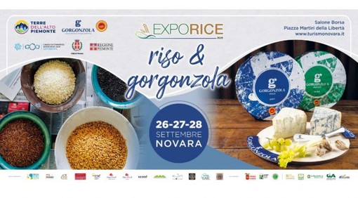 Exporice diventa “Riso &amp; Gorgonzola”: a settembre Novara celebra le sue eccellenze