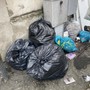 Novara, sanzionato il responsabile dell’abbandono di rifiuti in via De Amicis Novara, sanzionato il responsabile dell’abbandono di rifiuti in via De Amicis
