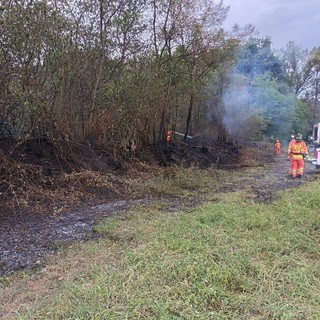 Incendi nel Parco del Ticino, intervento dei volontari Aib a Bellinzago Novarese
