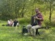 Musica e narrazione si fondono nella natura al Parco del Lagone