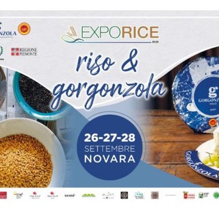 Exporice diventa “Riso &amp; Gorgonzola”: a settembre Novara celebra le sue eccellenze