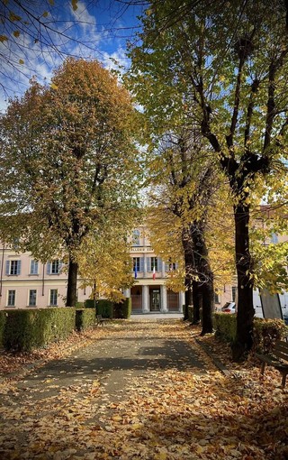 Manutenzione dei servizi igienici al Liceo Artistico Casorati di Romagnano Sesia Manutenzione dei servizi igienici al Liceo Artistico Casorati di Romagnano Sesia