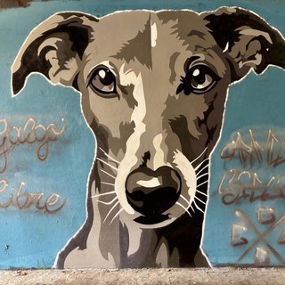 A Novara i “muri legali” diventano arte urbana