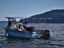 Da Lesa parte un progetto per rilanciare la pesca lacustre e valorizzare la filiera locale Da Lesa parte un progetto per rilanciare la pesca lacustre e valorizzare la filiera locale