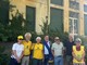 Arnie a Novara: le api tornano in città grazie al progetto di miele urbano