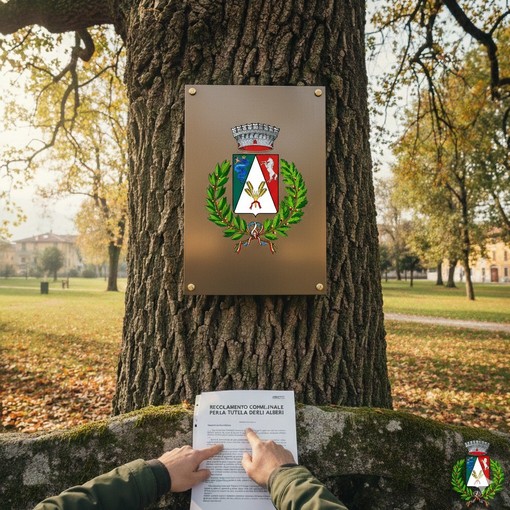 Brovello-Carpugnino: nuovo regolamento per la tutela degli alberi