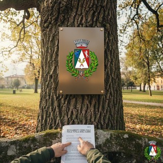 Brovello-Carpugnino: nuovo regolamento per la tutela degli alberi