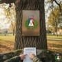 Brovello-Carpugnino: nuovo regolamento per la tutela degli alberi