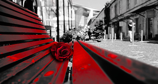 Giornata contro la violenza sulle donne: iniziative al Broletto