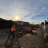 Bellinzago Novarese avvia la riqualificazione di via Volta: primi interventi con il gruppo Aib Bellinzago Novarese avvia la riqualificazione di via Volta: primi interventi con il gruppo Aib