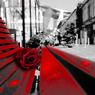 Giornata contro la violenza sulle donne: iniziative al Broletto