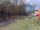Incendi nel Parco del Ticino, intervento dei volontari Aib a Bellinzago Novarese