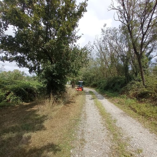 Parco Ticino Lago Maggiore: manutenzione del percorso ciclo-pedonale a Oleggio