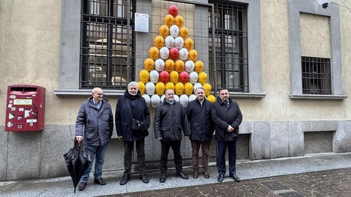 Novara accende l’Albero della Sicurezza: l’appello del sindaco Canelli