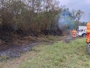 Incendi nel Parco del Ticino, intervento dei volontari Aib a Bellinzago Novarese Incendi nel Parco del Ticino, intervento dei volontari Aib a Bellinzago Novarese