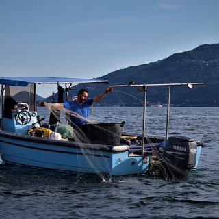 Da Lesa parte un progetto per rilanciare la pesca lacustre e valorizzare la filiera locale
