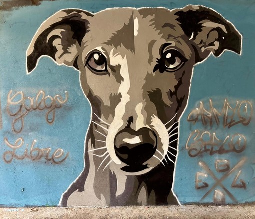 A Novara i “muri legali” diventano arte urbana