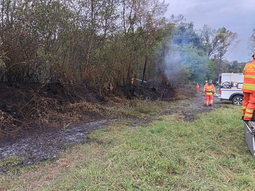 Incendi nel Parco del Ticino, intervento dei volontari Aib a Bellinzago Novarese