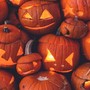Torna a Novara il Mostro Raduno: un Halloween da brivido Torna a Novara il Mostro Raduno: un Halloween da brivido